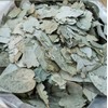 EUCALIPTO LEAVES 50 GR BRONQUIOS TOS ASMA/EUCALYPTUS BRONCHITIS,PNEUMONIA,ASTHMA