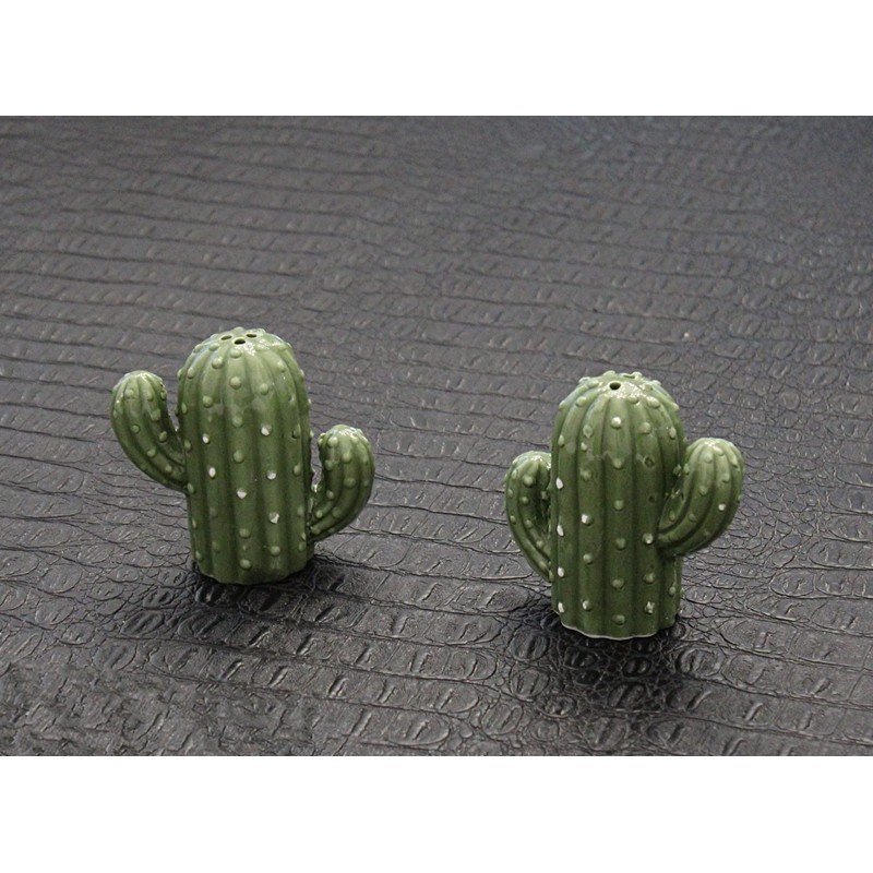 Hand-Painted Ceramic Cactus Salt and Pepper Set - Kitchen Dining
