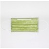 Catechin Mask, Antibacterial, Non-woven Fabric, Individually Packaged, 30 Sheets (5