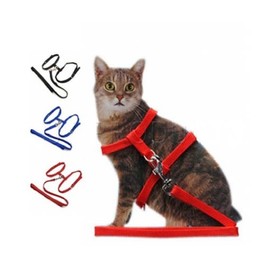 Cat Harness (Lead/Leash/Collar) (Red)