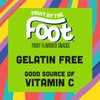 Fruit By The Foot Splitz Fruit Flavored Snacks, Watermelon and