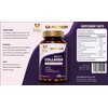 GB Premium Multi Collagen Capsules, Type I, II, III, V