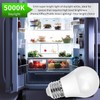 LED Refrigerator Light Bulb, 40W Equivalent LED A15 Bulb, 5W
