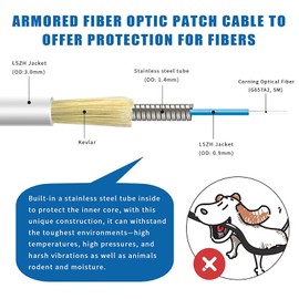 30ft (10 Meters) SM SC/UPC to SC/APC Fiber Optic Patch Cable, Armored Single Mode Patch Cable, Fiber Optic Jumper Optical Patch Cord - SIMPLEX - 9/125um - OS1/OS2 Compatible, LSZH White