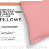 CharlottelyHues Set of 2 Pillow Shams 1000 Thread Count European