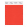 PANTONE Smart 17-1462X Color Swatch Card, Flame