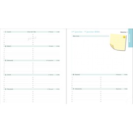 Exacompta - Ref 1804535E - 1 SAS 18S Lady Color Design Desk Calendar 15 x 17 cm Weekly Diary September 2025 to August 2026 - Birds Design