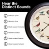 Mark Feldstein, The Original Singing Bird Wall Clock, 13 Inch,