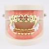 18K Gold Plated Hip Hop Grillz CZ Top and Bottom