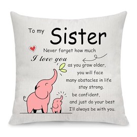 Sister Throw Pillow Cover Gift Big Middle Little Sister Gift from Sister Inspirational Gift Graduation Gift for Sister Pillow Case Gift Birthday (Sister)