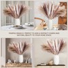 80PCS Mixed Dried Pampas Grass – Boho Vase Decor with