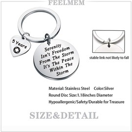 FEELMEM NA Recovery Gift 1 Year 18 Months 2 Years 3 Years NA Sobriety Anniversary Keychain NA Recovery Serenity Prayer Sobriety Gift (5 years)