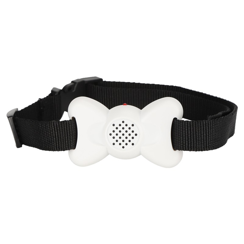 Pet Anti Barking No Harm Collar Small Dog Training Collar