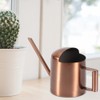 300ml Small Stainless Steel Watering Can Plant Flower Long Spout