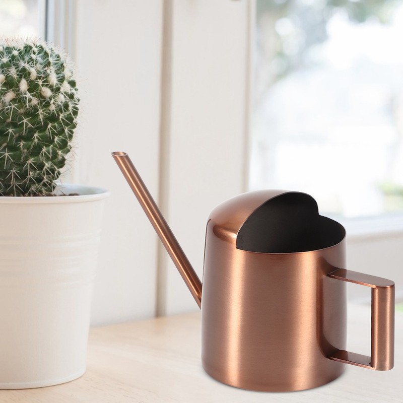 300ml Small Stainless Steel Watering Can Plant Flower Long Spout