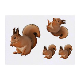 4 x 'Red Squirrel' Temporary Tattoos - Water Resistant, Skin-Safe, Non-Toxic Transfers, Mixed Sizes (TO00043247)
