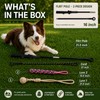DEPURE Flirt Pole for Dogs,Heavy Duty Interactive Chase & Rope