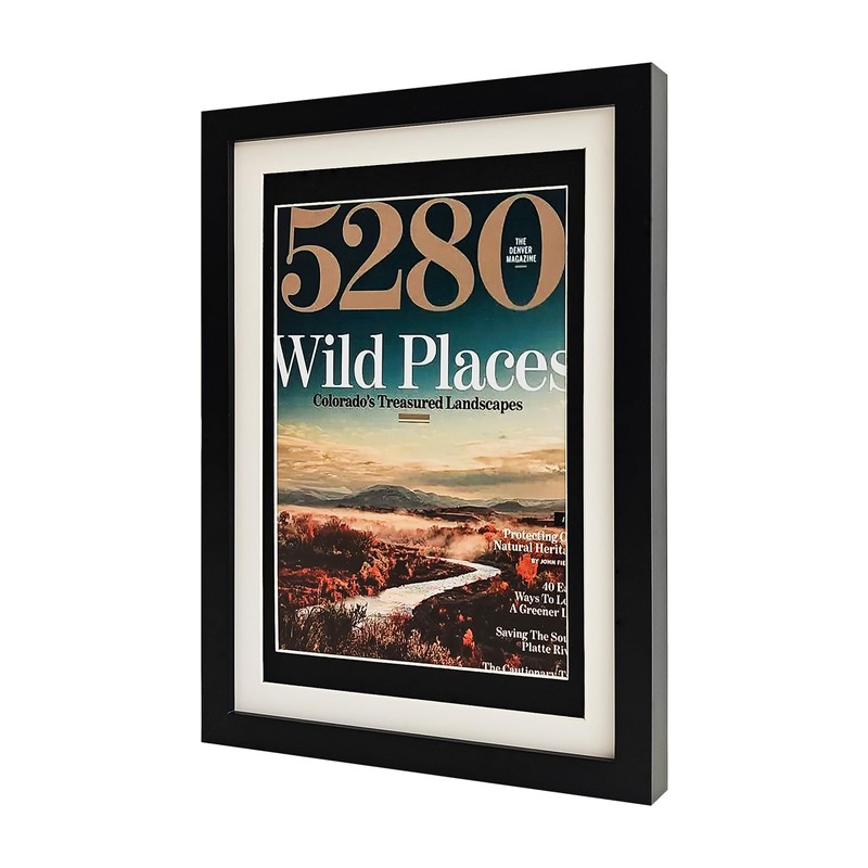 CHUNHUI Comic Book Display Case,Magazine Display Frame,Black Solid Wood HD