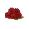 Jobe’s Organics 9423 Easy Gardener Jobes 09423 Organic Rose Granular