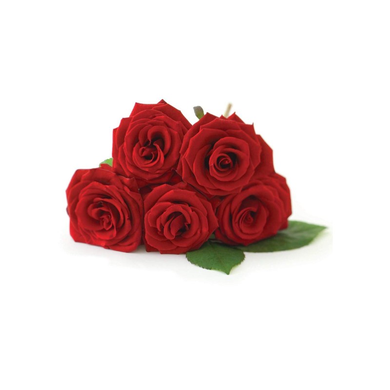 Jobe’s Organics 9423 Easy Gardener Jobes 09423 Organic Rose Granular