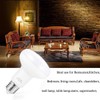 Small frog Floodlight Indoor BR25 Led Bulbs - 9W, Replace
