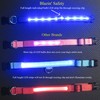 Blazin' Safety LED Dog Leash - USB Rechargeable Flashing Light,