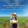 国産有機原料使用のシカ（ツボクサ・ゴツコラ）とモリンガのサプリメント 粉末カプセル 90粒 ※約2ヶ月分 国産・農薬不使用 離島のハーブ園 しまのだいち