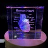 3D Human Heart with Labels Anatomical Model Paperweight(Laser Etched) in