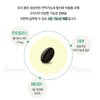 Antibacterial Antioxidant Immunity Propolis Flavonoid Free radicals Cell protection Autoimmune