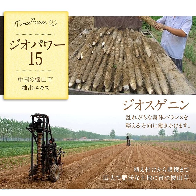 タンポポQ10ミライ カプセル 311mg 60粒 吸収型（包接体）コエンザイムQ10、やまいも抽出物ジオスゲニン、大豆抽出物ポリアミン、赤ワイン抽出物レスベラトロール、ビタミンD