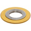 Metal Reinforced Mica Graphite Flange Gasket, Ring, Fits Class 150
