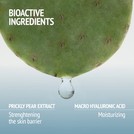 Comfort Zone Hydramemory Water Source Serum 30 ml