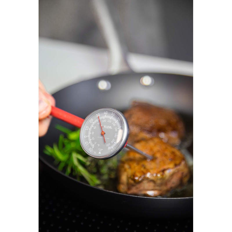 Taylor Read Meat Thermometer Probe, Food Thermometer with Fast Temperature
