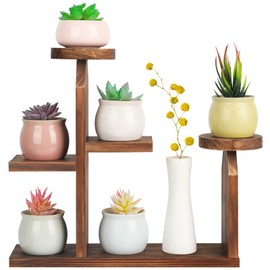 COOGOU Wood Desktop Plant Stand - 5 Tier Tabletop Plant Shelf Windowsill Flower Shelf Holder Indoor, Small Succulent Herb Display Rack for Home Office Living Room Bedroom Decoration