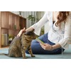 INABA Churu Lickable Purée Natural Cat Treats (Tuna with Scallop