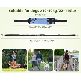 Pecute Hands Free Dog Leash with Pouch, Waist Belt Fanny Pack with Soft Pads, Dual Padded Handles, and Durable Bungee for Walking, Hiking, Jogging Biking, and Running (Up to 220lbs) Blue