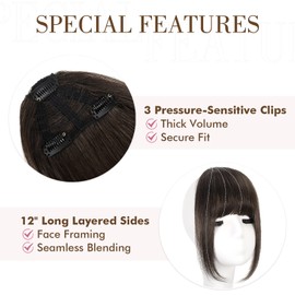 REECHO Clip in Bangs, 100% Human Hair 3 Secure Clips in Blunt Cut Bangs, Blonde Fake Bangs Thick Full Fringe with Temples Hairpieces for Women Daily Wear - Black Brown