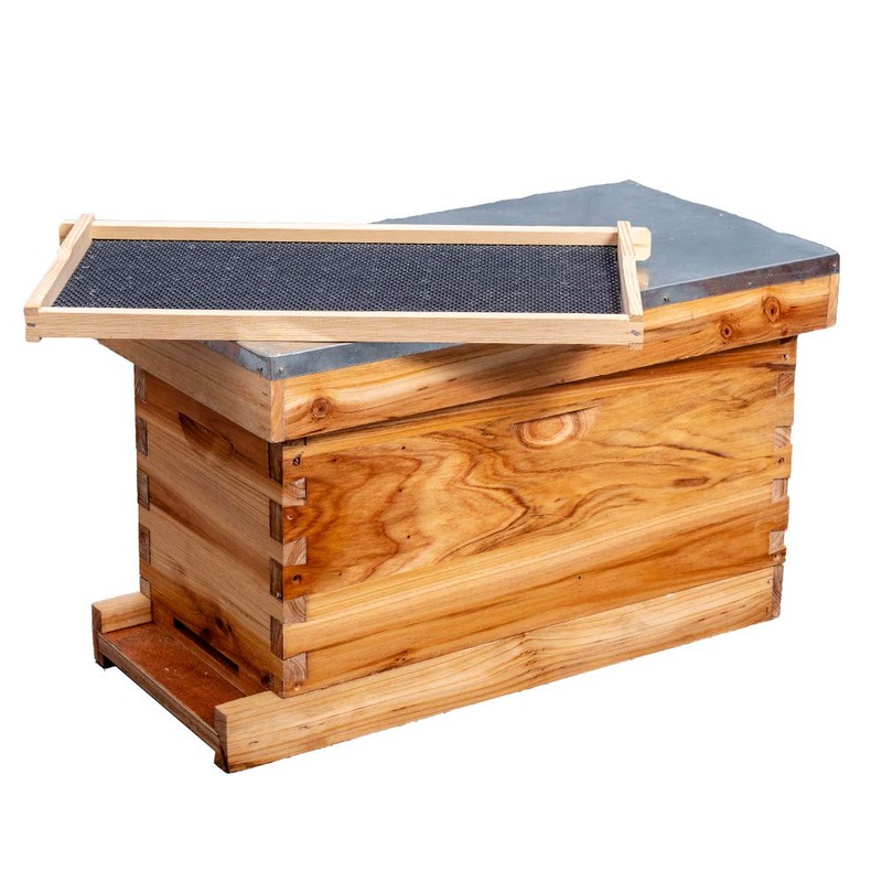 MayBee 5-Frame Nuc Beehive for Bees Complete Bee Hive Box