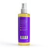Skylar J's LushUs Kids Island Himilayan Salt Texture Spray |