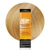 L'Oréal Technique HiColor Blonde HiLights Permanent Hair Color for Dark