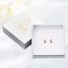 ABIGY Hippo Stud Earrings 925 Sterling Silver Hippo Stud Earrings