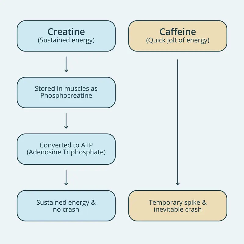 Advanced Creatine Supplement – BrainMD Smart Creatine+ for Energy, Stamina,