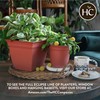 The HC Companies 6 Inch Eclipse Round Planter with Saucer