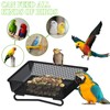 Bird Feeder for Birds, Feeder for Birds, Metal Feeder for