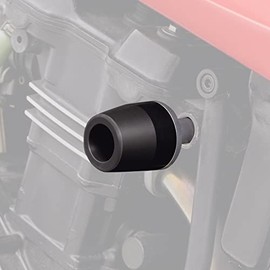 Daytona (DAYTONA) Private cars engine protector [GPZ900R (all year)] 79946