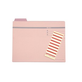 Lion Office Charger 4 Cut 持出si Folders , safety pink