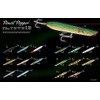 Cotton Cordell C6620 C66-20 Pencil Popper Fishing Lure, 6", 1