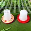 Garneck Garneck 1 Set Quail Feeder Chick Feeder Quail Waterer