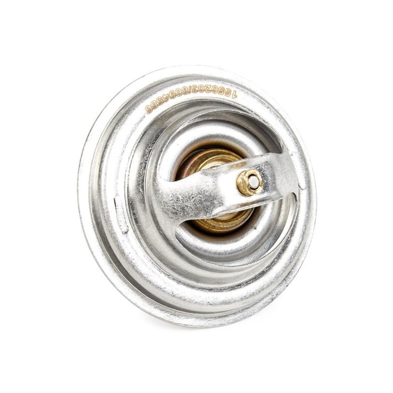 RIDEX Thermostat + Gaskets