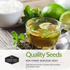 Medicinal Tea Seeds Collection - 9 Non-GMO Heirloom Herbs to